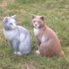 Котка седнала