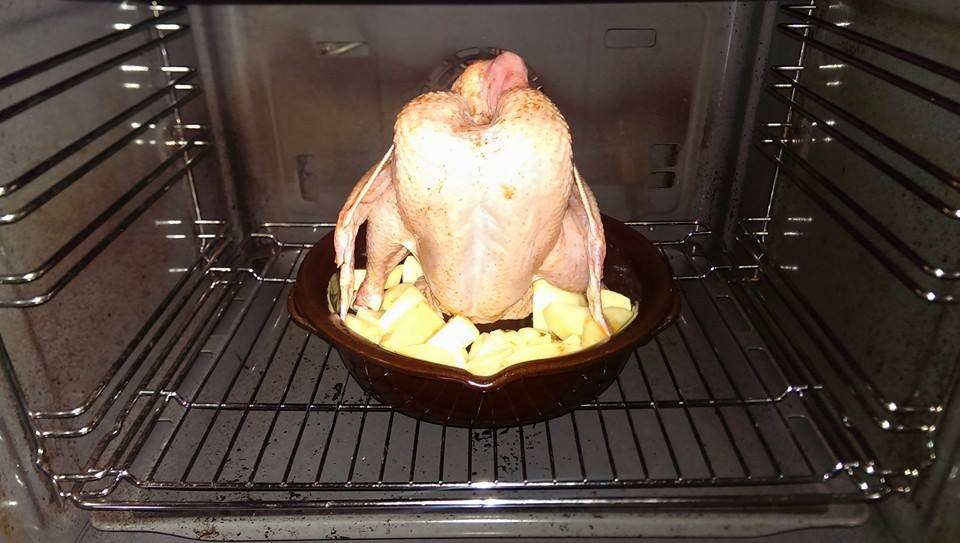 635396017571643917